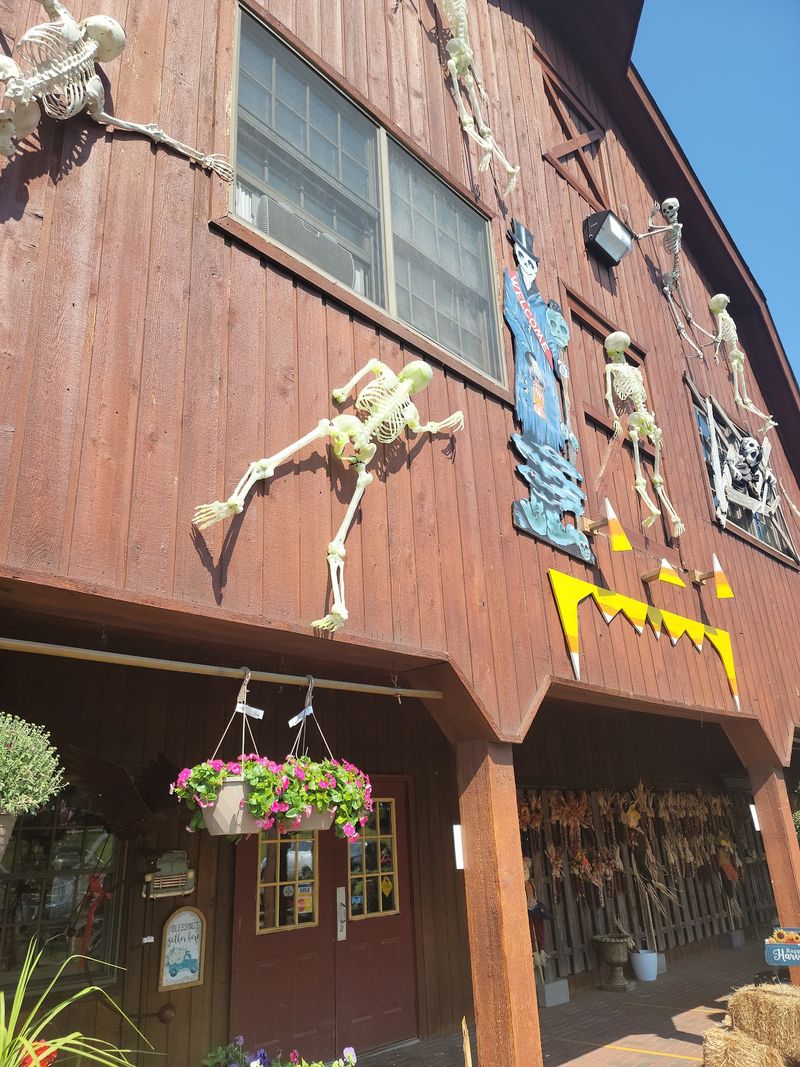 Great Pumpkin Festival At Heaven Hill Farm, Vernon Township