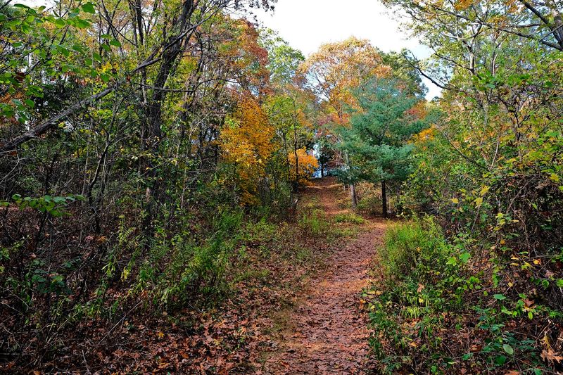 Beaver Brook Reservation