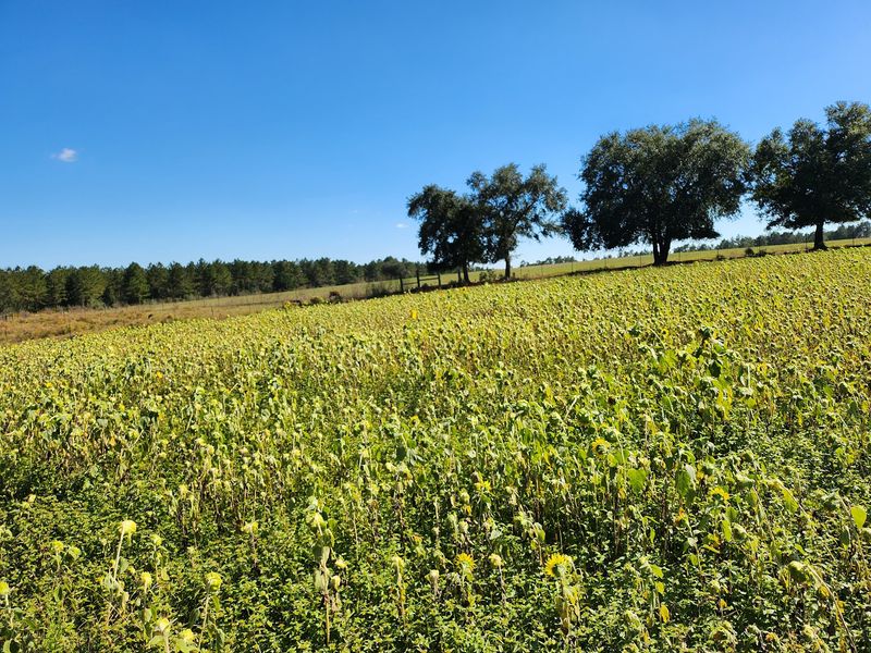 Southern Promiseland Farm, Kiln, MS