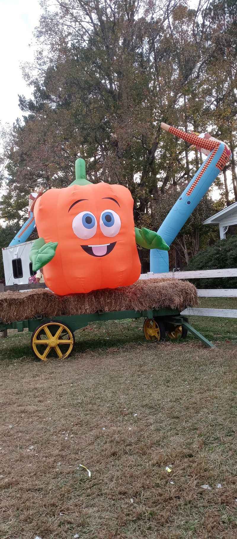 Pumpkin Patch Farms