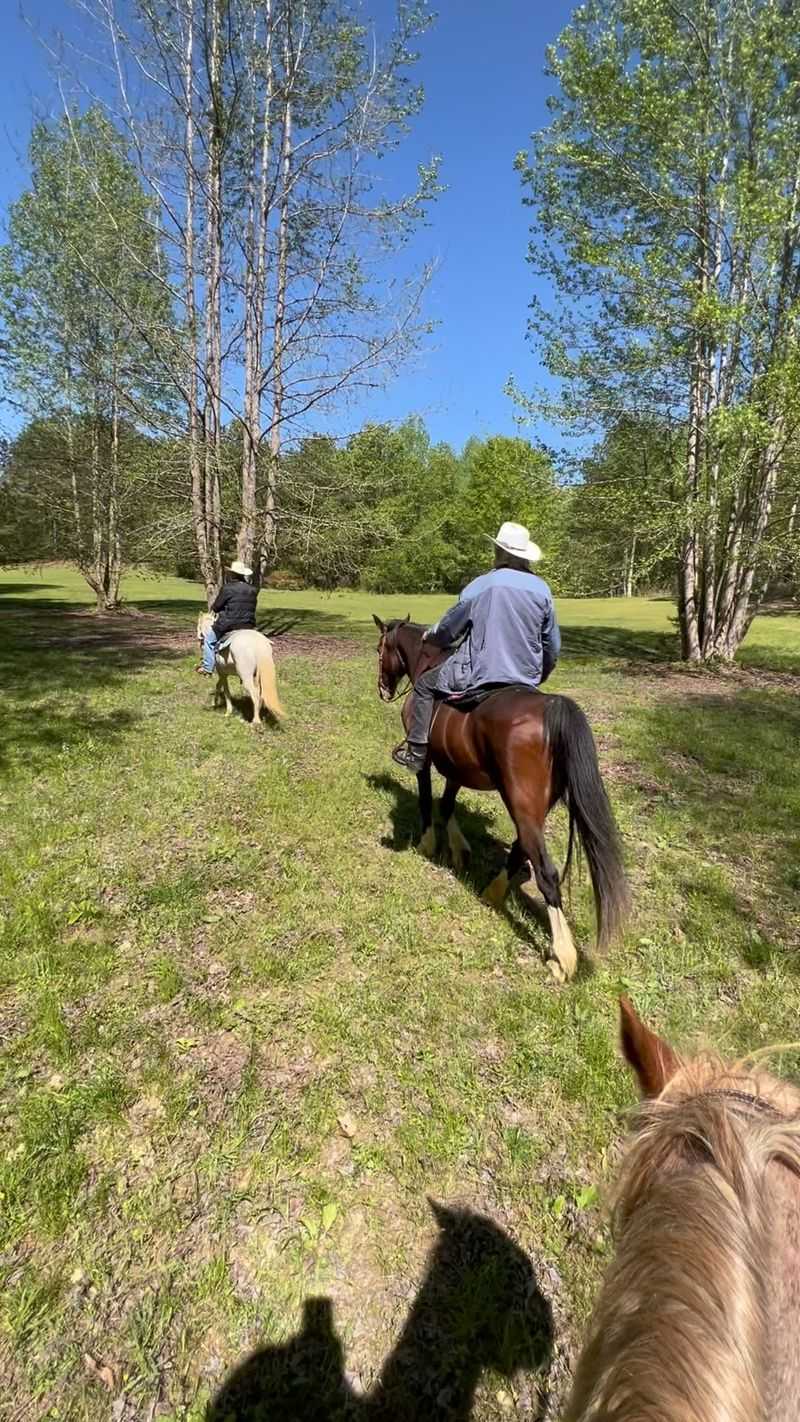 Private Rides Shaped Around Each Group