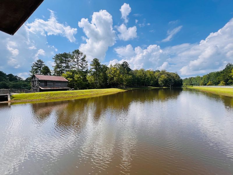 Mill Pond, Picnics, and Paddle Boats