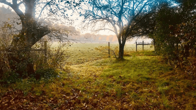 Land With Roots Older Than The Country Itself