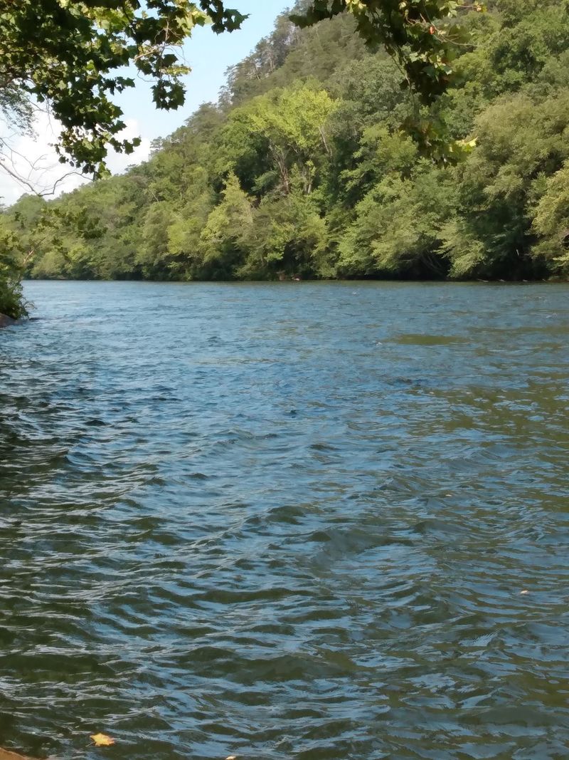 Fly Anglers Have a Serious Crush on These Waters