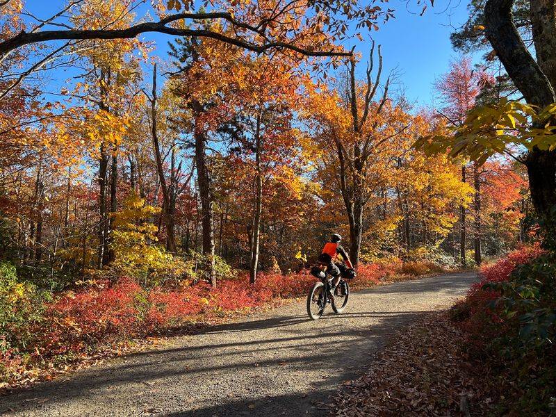 Pick Your Path, Flat Or Wildly Rocky