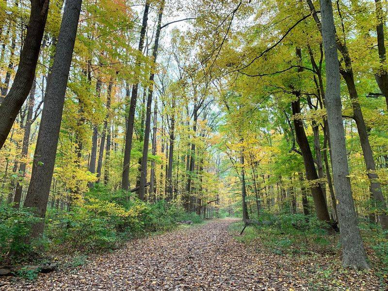 Pick The Route That Fits Your Mood And Your Legs