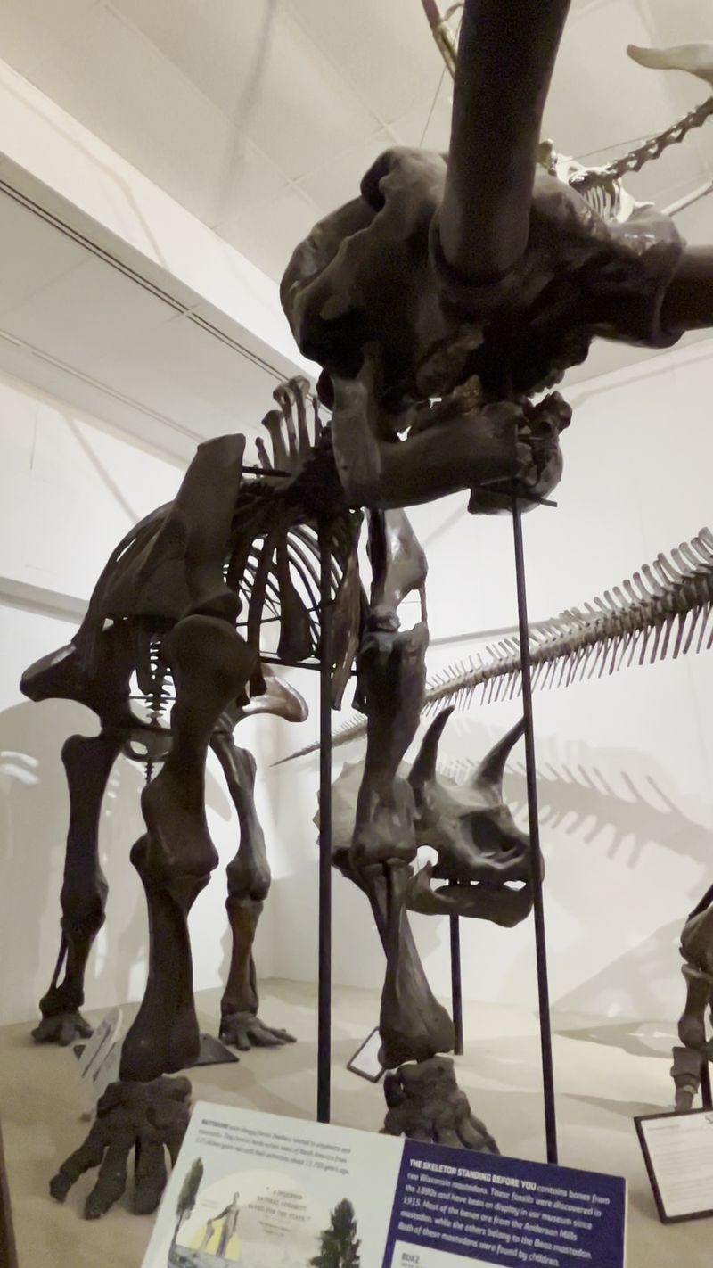 You Will Want To Say Hello To The Duck-Billed Dinosaur