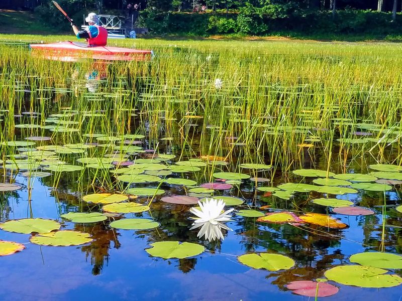 Summer Fun Comes With A Cardboard Boat Race
