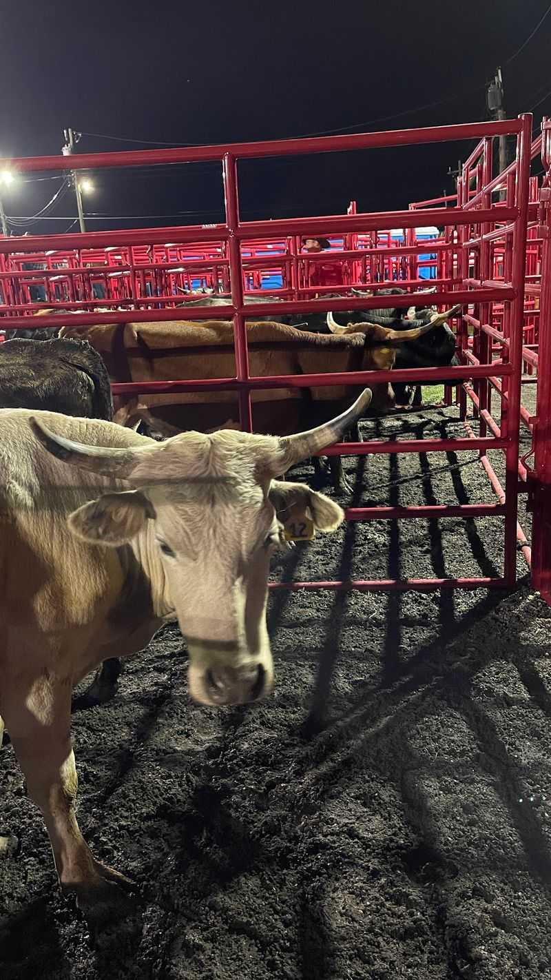 Turn Rodeo Day Into A Full Farmers Market Adventure