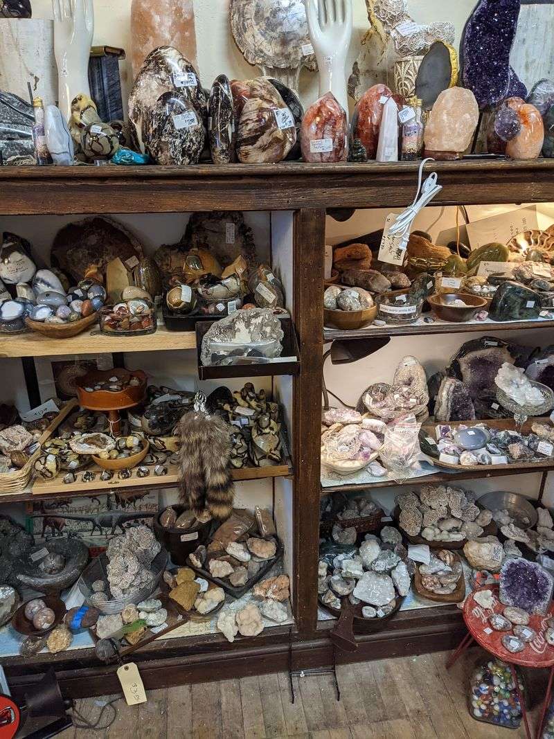 Bookworms And Collectors Get Their Own Rabbit Holes