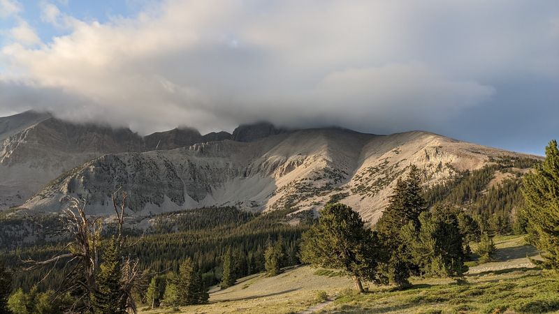 Old Trees, Alpine Lakes, And A Very Tall Peak