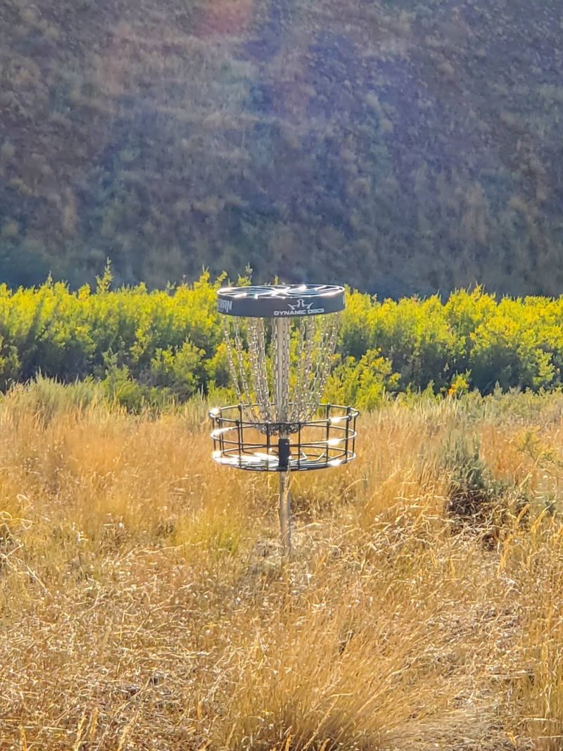 Bring A Frisbee, Because There's A Course Waiting