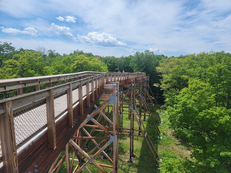 Climb Sixty Feet Up Without A Single Stair If You Want