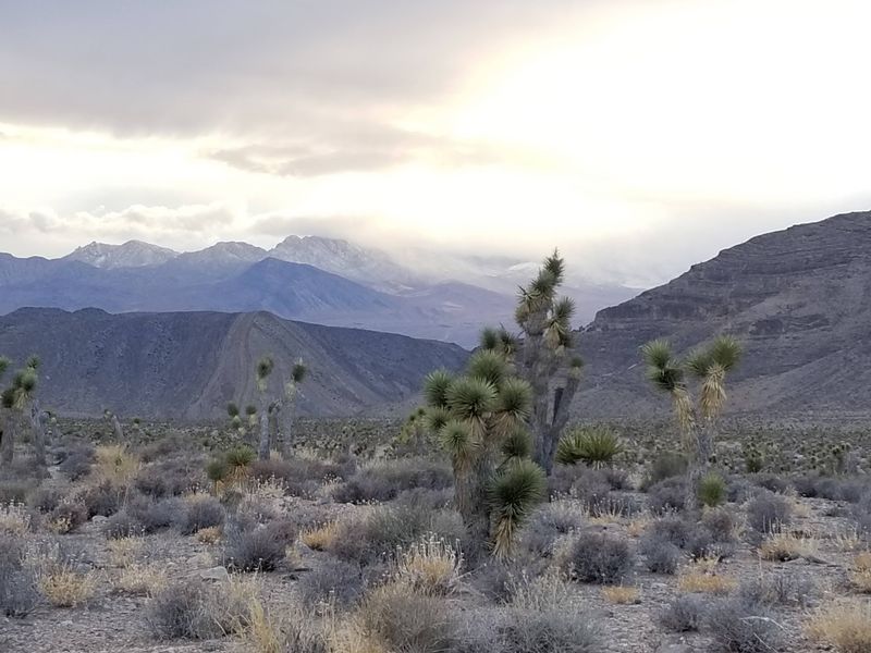 Six Mountain Ranges Pack Seven Different Worlds Into One Trip