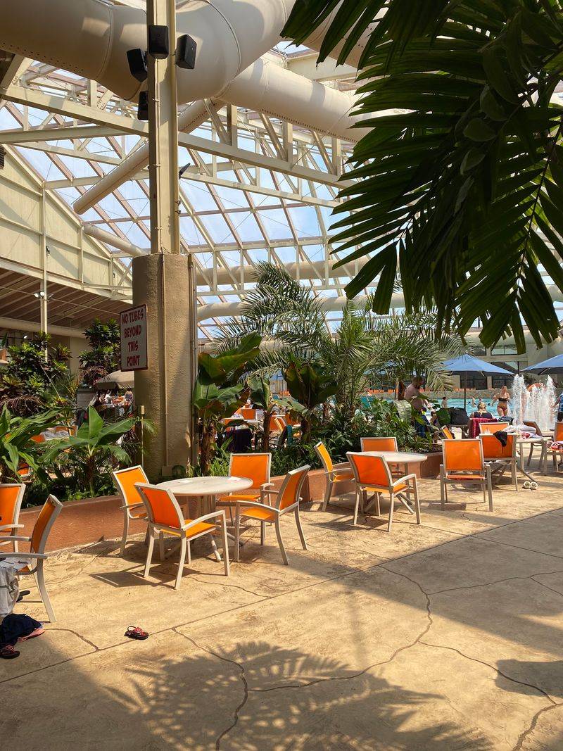 Fresh Floors And Tropical Colors Make The Whole Dome Feel Brand-New