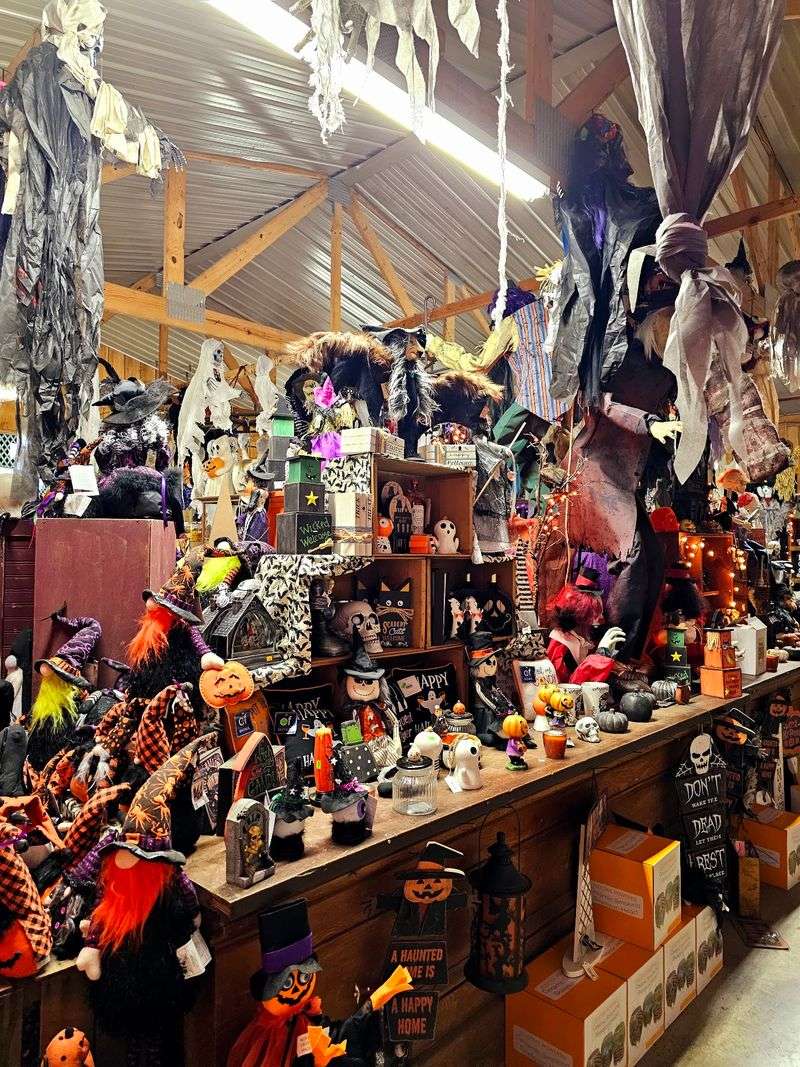 Hayrides And Spooky Thrills For All Ages