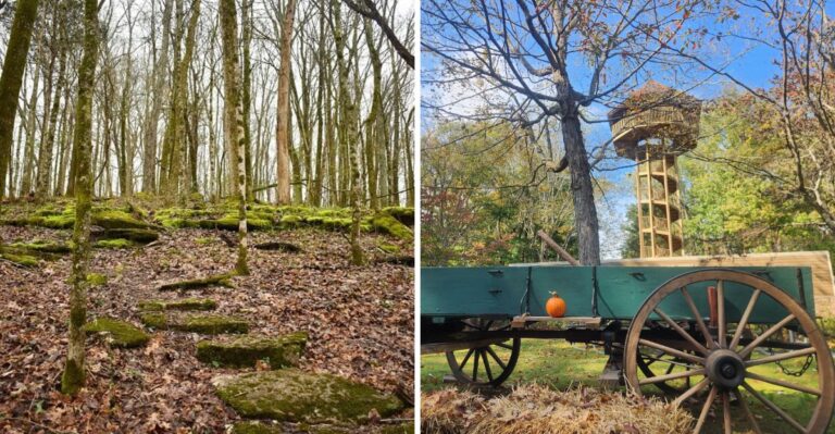 The 6,338-Acre Tennessee State Park Where Fall Colors Shine Far From The Famous Tourist Crowds