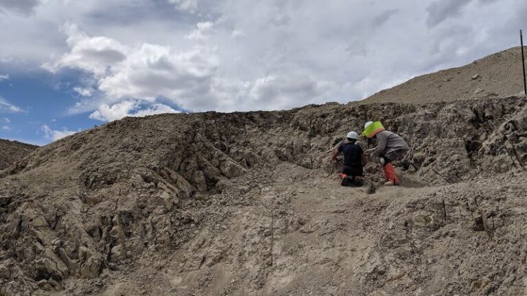 Kids Hunt For Garnets, Opals And Turquoise At These 9 Nevada Rockhounding Spots