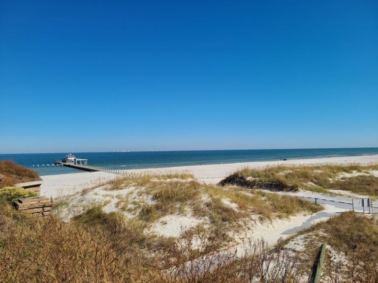 Mississippi Has 6 Gulf Coast Beaches Where Kids Still Fill Buckets With Shells