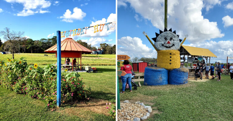 For Six Weekends Every Fall, This Mississippi Corn Maze Farm Turns Hay Bales Into A Kids’ Playground