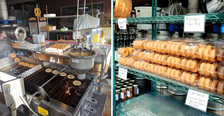 This South Carolina Apple Orchard Makes Cider Donuts So Good People Drive Miles For Them
