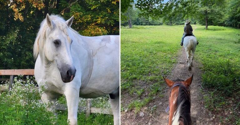 The New York Farm Where You Can Ride Through 117 Acres Of Hudson Valley Countryside