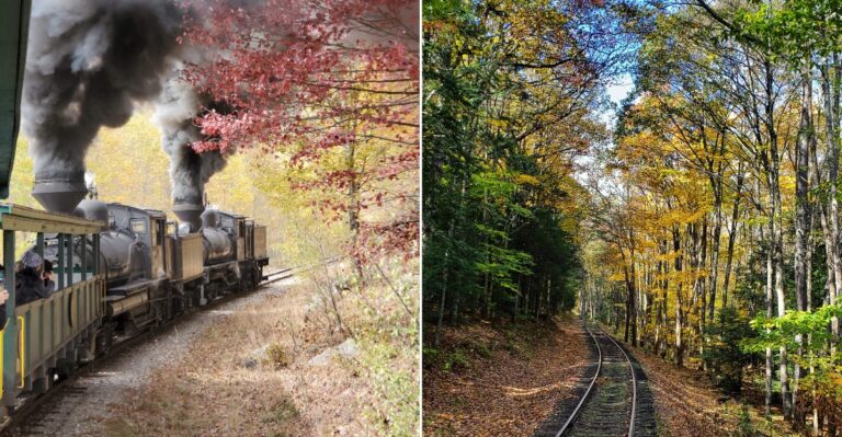 This West Virginia Train Ride Is A Spectacular Way To Experience Fall Foliage