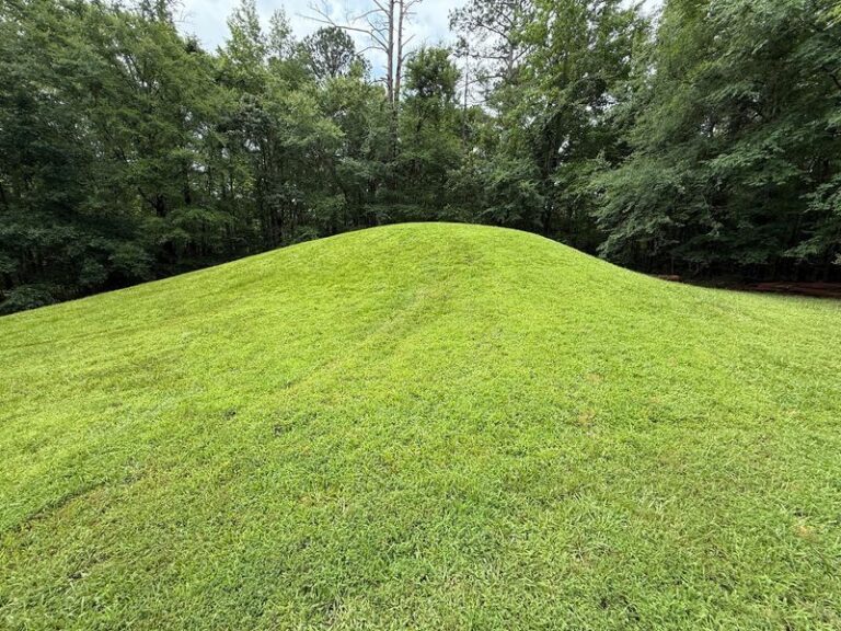 These 7 Free Stops Along Mississippi’s Natchez Trace Let Kids Stand Next To Mounds Built By Hand Centuries Ago