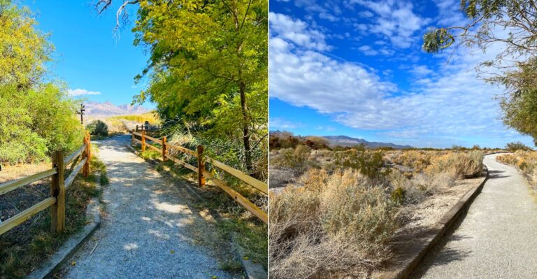 This Massive Nevada Wildlife Refuge Hides A Restricted Area That Visitors Are Legally Forbidden From Entering