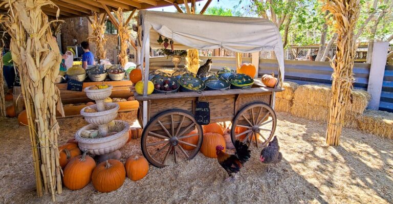 Bring Cash To This Nevada Farm Market Where You Can Fill A Cart With Goods Most Stores Do Not Carry
