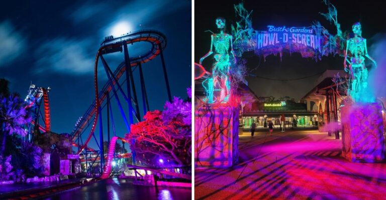 This Florida Theme Park Turns Into A Massive Halloween Playground After Dark