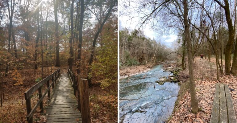 9 Beautiful Tennessee Picnic Spots Where You Can Enjoy Fall Colors For Free