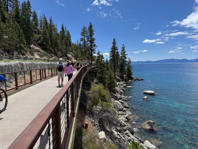 Lake Tahoe’s Old Logging History Comes Alive Along These 8 Easy Nevada Family Trails