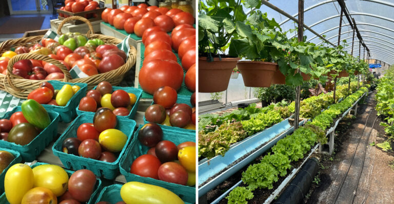 The Family-Owned New York Produce Markets Where $35 Fills A Bag For The Week