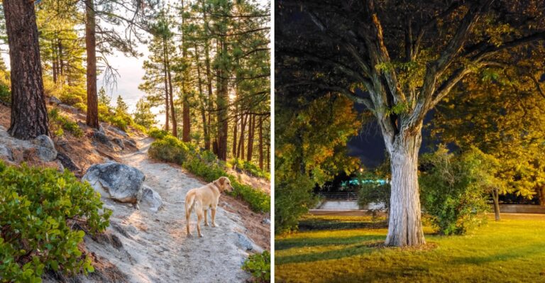 7 Nevada Fall Color Stops That Are Still Stunning In Late October