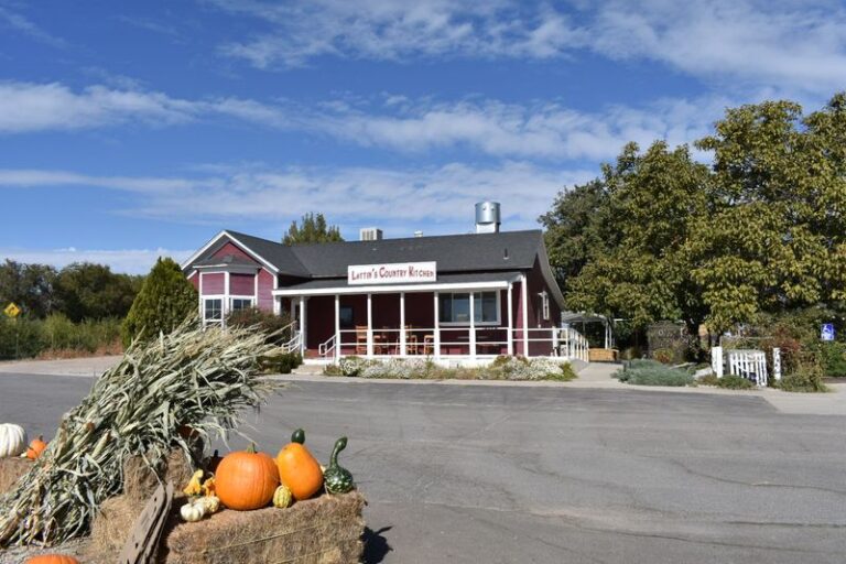 Pick-Your-Own Pumpkins And A Corn Maze Fill Fall Weekends At This Fallon Farm In Nevada