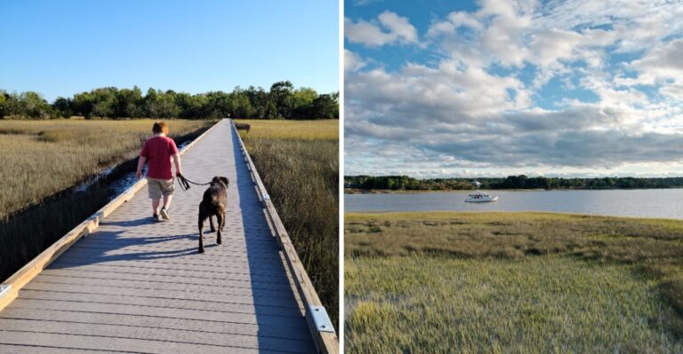 This South Carolina County Park Lets You Reach An Island Without Getting Your Feet Wet