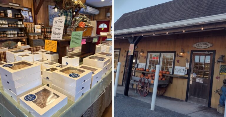 This New Jersey Farm Bakery Is A Pie Lover’s Paradise With More Than 20 Varieties To Choose From