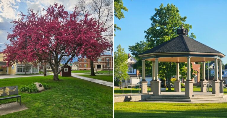 This Vermont Park Is Hosting A Two-Day Fall Celebration That Anyone Who Loves Autumn Must Visit