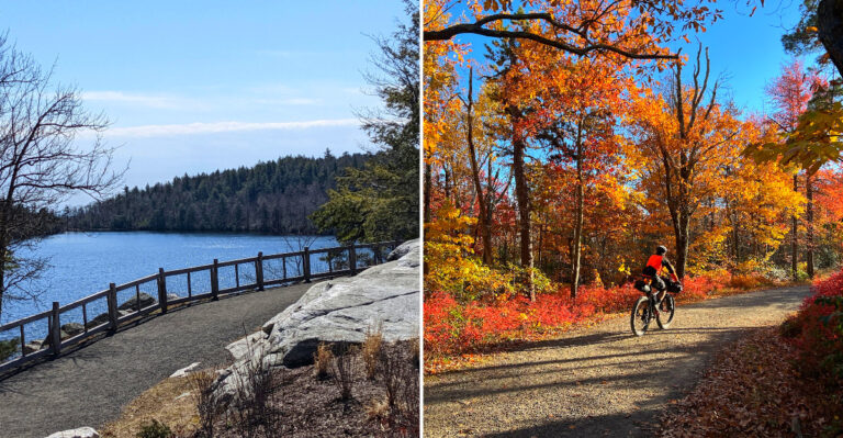 The New York State Park Where More Snakes Have Been Spotted Than Most Visitors Expect