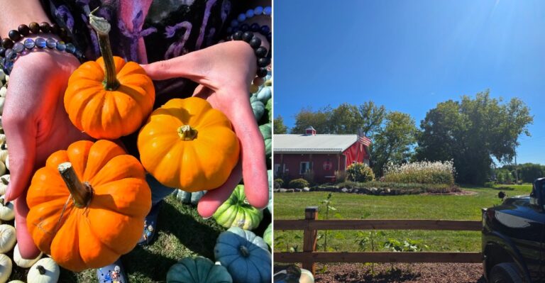 This Beloved Wisconsin Farm Is The Kind Of Fall Stop That Never Feels Overdone