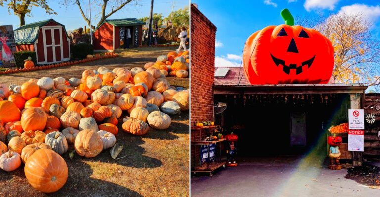 This Wisconsin Park Turns Into A Spooky Fall Wonderland Of Pumpkins, And Families Drive Hours Just To See It