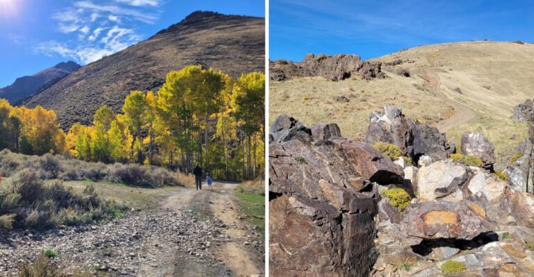 This Nevada Mountain Canyon Turns Golden Every Fall And Hardly Anyone Knows About It
