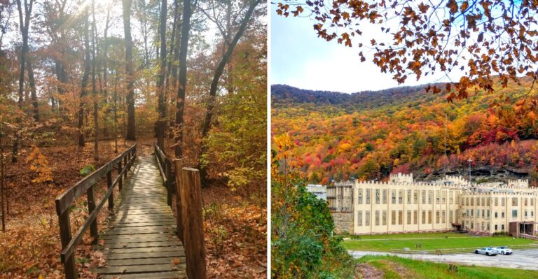 8 Tennessee Areas Where Fall Hikers Should Still Watch Out For Ticks