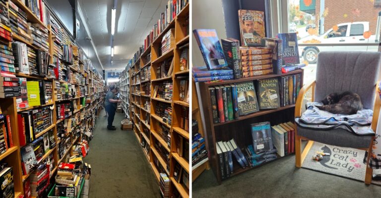 This Small-Town Tennessee Bookstore Has Thousands Of Books And Cats Roaming The Aisles
