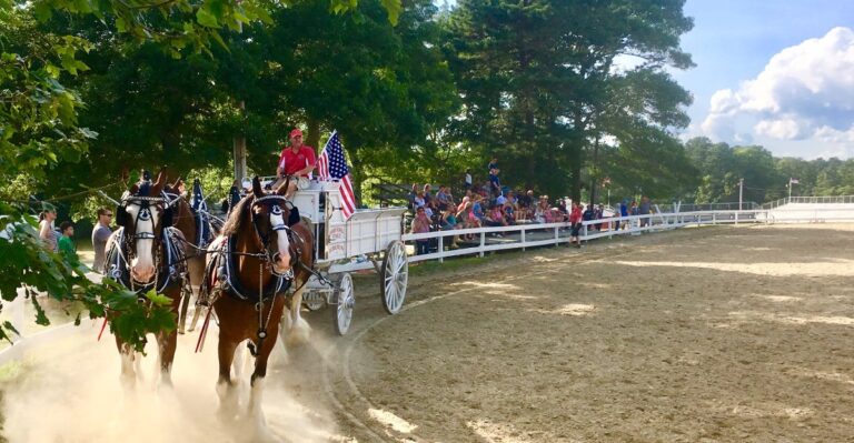 Massachusetts Has A Farm With Giant Clydesdales That Take Visitors On Carriage Rides
