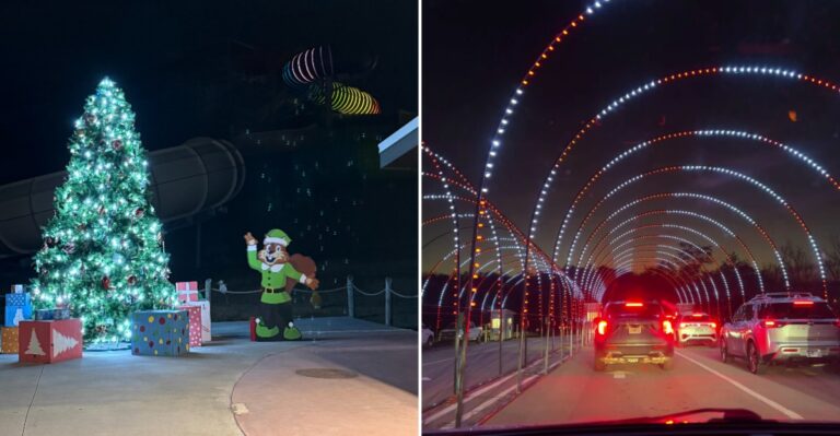 Tennessee Families Keep Coming Back To This Drive-Thru Christmas Light Show Each Holiday Season