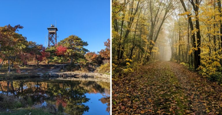 10 Massachusetts Hiking Trails Where You Need To Stay Bear-Aware This Fall