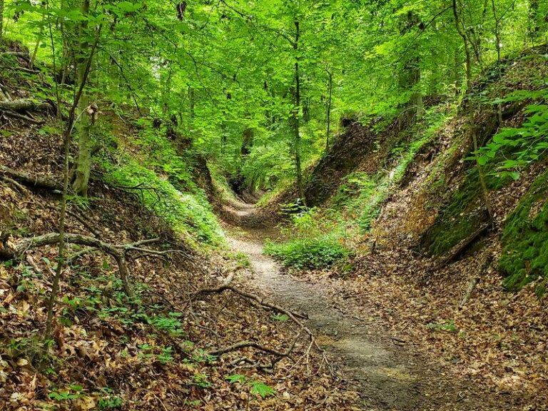7 Natchez Trace Stops In Mississippi Where Families Walk Through Thousands Of Years Of History