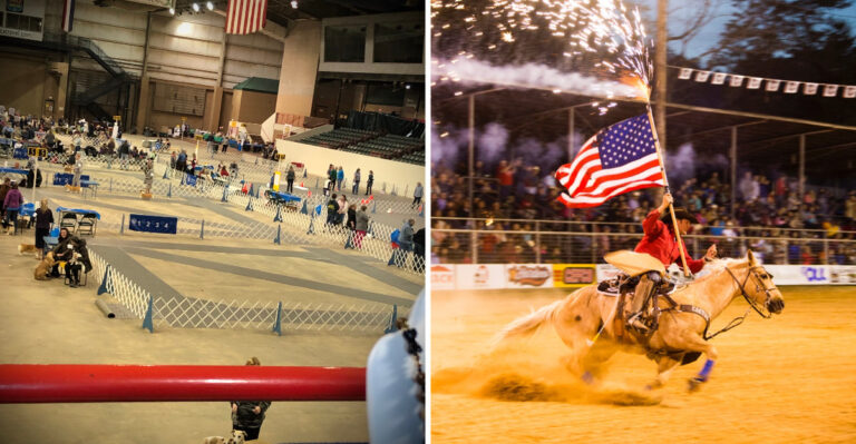 These 5 Mississippi Rodeo Arenas Put Your Kids Close Enough To Hear The Bulls Hit The Chute